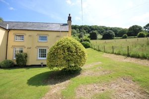 Garden- click for photo gallery